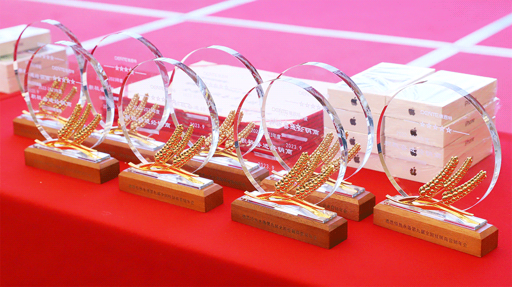 1696381251186917.gif 年度優(yōu)秀代理商6.gif